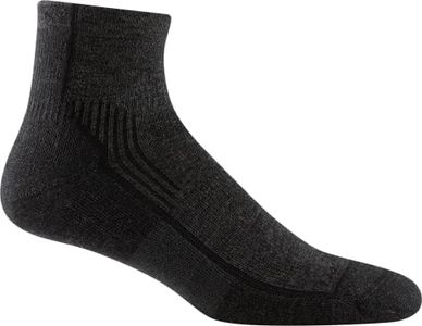 Darn Tough (Style 1959) Men's Hiker 1/4 Midweight with Cushion Sock (Onyx, Small)