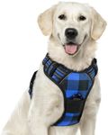 rabbitgoo Dog Harness No Pull, Adjustable Dog Walking Harness with 2 Leash Clips, Comfort Padded Dog Vest Harness with Easy Handle, Reflective Front Body Harness for X-Large Breeds, Blue Plaid, XL