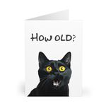 Funny Cat Birthday Card - How Old? - 6 x 8 Inch - Made in UK - Includes White Envelope - Blank Inside - Sustainable Materials