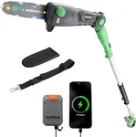 WORKPROX Cordless Pole Saw with Battery, 20V 4.0Ah Battery Powered 8 Inch Electric Pole Chainsaw, 4000mAh Power Bank with Quick Charge 3.0, Lightweight, 15 FT Max Reach Pole Saw for Tree Trimming