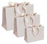 Luxury Boutique Vanilla Ivory Cream Gift Bag with Ribbon Tie & Rope Handles - Premium Recycled Paper - Perfect for Wedding Presents, Party Bags, Baby Shower (10, Small 20cm x 8cm x 16cm)