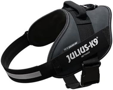 Harnais IDC Power, Taille: 2, Anthracite