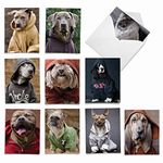 The Best Card Company - 10 Blank Dog Greeting Cards for All Occasions (4 x 5.12 Inch) - Dogs In Da Hood M3733OCB-B1x10