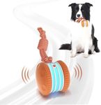 QGI Interactive Dog Toys, Random Pa