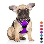 BARKBAY No Pull Dog Harness Large Step in Reflective Dog Harness with Front Clip and Easy Control Handle for Walking Training Running(Purple,S)