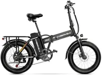 1000W Folding Electric Bike, 48V 20