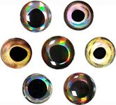 360pcs/5packs Fishing Lure Eyes 4D Holographic Color Artificial Baits Fly Tying Lure Eye Molded Plastic Fishing Lure Eyes 6mm/8mm/10mm