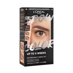 L'Oréal Paris, Semi-Permanent Eyebrow Tint, Lasts up to 5 Weeks, Visible Results in 5 Minutes, Up to 10 Uses, Ammonia Free, Brow colour, Shade: 5.0 Brunette