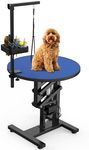 YITAHOME 24" Electric Lift Dog Grooming Table, Rotating Desktop Grooming Table for Dogs at Home, Adjustable Overhead Arm & Tools Organizer Pet Grooming Station for Small Dogs Cats, Blue