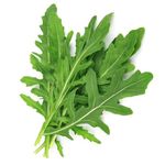 Grixisonsazia Eruca Sativa Arugula Herb Seeds For Home Terrace And Kitchen Indoor Outdoor Gardening Planting Farming (Pack Of 100 Seeds)
