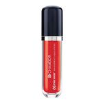 CHAMBOR Extreme Wear Transferproof Liquid Lipstick, No.463, 6 ml