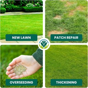 GardenersDream Grass Seed 5kg – Premium Lawn Seed Mix