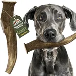 Heartland Deer Antlers for Dogs - Grade A, Naturally Shed Antlers | Dog Bones for Aggressive Chewers & Teething Puppies | Chew Toy for All Breeds | USA Made & Veteran Owned (Giant: 9+", 1-Pack)