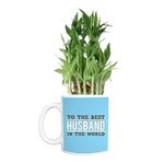 TheYaYaCafe Birthday Gifts Bamboo Plant Indoor Printed Mug Planter | Air Purifying | Green Gifts | Feng Shui - to The Best Husband in The Worlds