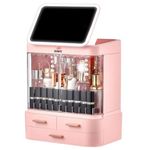 SIBY Acrylic Makeup Vanity, Cosmetics Organizer With Mirror | Large Capacity Dust And Waterproof Cosmetic Organizer With Drawers | Cosmetic Storage For Dresser, Pink