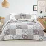 Whale Flotilla 3-Piece Printed Queen Size Quilt Bedding Set with 2 Pillow Shams Lightweight Reversible Bedspreads Coverlet Set for All Season, Light Grey