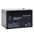 NX, 12V Battery, 12 Volt 12ah battery, 12V 12Ah Lead Acid Rechargeable Battery For General purpose, Scooter, Quad Bikes, Childrens Kids Toy Car Battery, Alarm, Bike, Emergency power (12V - 12Ah)