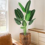 IDEALHOUSE 5 Ft Artificial Tree Bird of Paradise Artificial Plant with Trunks Faux Plant Palm Tree Artificial Bird of Paradise Plant for Home Indoor Outdoor Office Decor Perfect Housewarming Gift