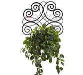 NAYAB Wall Mounted Iron Plant Holder Hanger Stand Rack Without Pot Planters for Hanging, Balcony Garden, Indoor Outdoor Decor Corner Shelf (Scrolled Flower - Black)