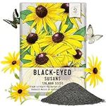 Seed Needs, Black-Eyed Susan Seeds 