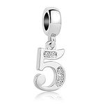 CharmSStory Lucky Number Charms Dan