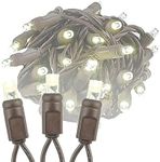 Novelty Lights 50 Light LED Christmas Mini Light Set, Outdoor Lighting Party Patio String Lights, Warm White, Brown Wire, 25 Feet