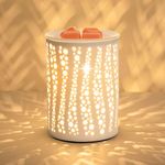 PALANCHY Wax Melt Burner Glass Oil Burner Electric Wax Melt Warmer Candle Warmer Burners Melter Fragrance Warmers for Home Office Bedroom Aromatherapy Gift & Decor (Starry Night)