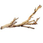 Exo Terra Forest Branch, Small (Exact Size May Vary)