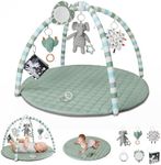 Blissful Diary Baby Play Gym Mat, T