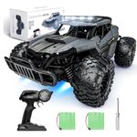Tecnock RC Car 1/16 Scale Remote Control Cars, 2WD High Speed 20KM/H All Terrains RC Monster Truck with 2 Rechargeable Batteries & Head Chassis Lights, Gift Toys for Kids Adults, Gray