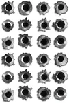 Decals by Haley 24 pack of Bullet Hole Stickers ultra-realistic fake bullets - Safe for veicle paint - bullet hole stickers laptop car truck auto body scratch and dent cover prank funny gun shot sticker fake bullet shot stickers