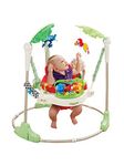 Baby Einstein Baby Jumperoos