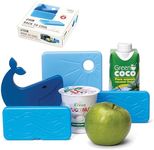 Monkey Business Back to Cool Ice Pack Set, 4 Reusable Ice Packs for Lunch Boxes and Cooler Bags, Colorful Camping Refillable Ice Pack for Food (Whale Set)