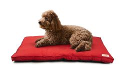 KIBBO Waterproof Flat Bed for Dogs and Cats | Detachable Cover & Washable Dog Bed | Lighweight Design with Anti-Skid Base | for Small Breed | Red