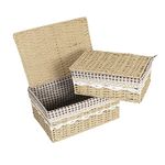 HOKIPO Environmental Friendly Paper Rope Wicker Storage Baskets with lid, Pack of 2, Beige (AR-3900-BGE)