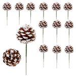 Christmas Natural ​Pine Cones, Snow Tipped Natural Pine Cone, Christmas Tree Decoration Sticks for Craft Garland Xmas Tree Decorations Wreath Ornaments 20Pcs