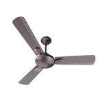 Havells Festiva 1200mm Dust Resistant Ceiling Fan (Espresso Brown)