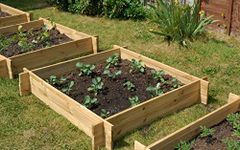 Lacewing 248 Litres - The Chamberlain Rectangular Wooden Raised Grow Bed 155cm x 80cm (H20cm)