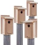 Four Pack of Audubon Cedar Bluebird Houses