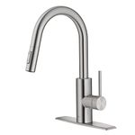 Kraus Kitchen Faucet (Chrome)