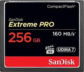 SanDisk Ex