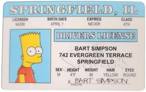 Signs 4 Fun Parody ID | Bart Driver’s License | Fake ID Novelty Card | Collectible Trading Card Driver’s License | Novelty Gift for Holidays | Made in the USA
