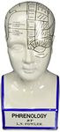 Design Toscano Porcelain Phrenology Head Fortune Telling Statue, 30.5 cm, Porcelain, White