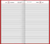 AT-A-GLANCE Standard Diary Recycled Daily Diary, 8 x 11 Inches, Red, 2011 (SD376)