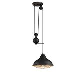 Westinghouse Lighting Indoor Lighting, Dark Bronze with Highlights