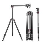 DIGITEK® (DTR 520 BH) 152CM Foldable Aluminum Tripod Cum Monopod with Swivel Pan Head, 4 Section Adjustment, 7kg Max Load, Max Operating Height: 4.95Ft, Compatible with DSLR Camera, Dv Video Camcorder