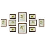 SONGMICS Set of 10 Picture Frames, Two 20 x 25 cm (8 x 10 Inches), Four 13 x 18 cm (5 x 7 Inches), Four 10 x 15 cm (4 x 6 Inches), Plastic Front, MDF, Rustic Brown RPF310X01