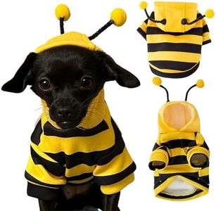 Dog Bee Co
