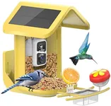 Bird Feeder with Camera Solar Power
