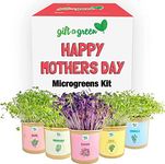 MOTHERS DAY Organic Microgreens Grow Kit by GIFT-A-GREEN | Send a Memorable Mothers Day Gift Basket Where the Recipient Gets to Grow Organic Kale, Arugula, Basil, Radish, Broccoli Microgreens